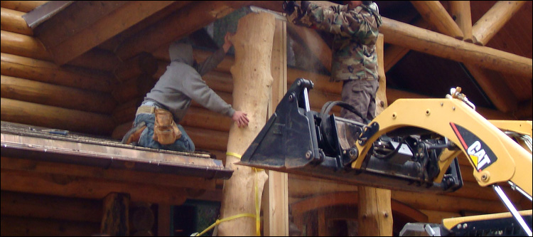 Log Home Log Replacement  Summit County, Ohio